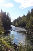 171. Wells Gray Provincial Park &ndash; &copy; Marianne Förster (Eberhardt TRAVEL)