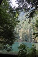 241. MacMillan Provincial-Park &ndash; &copy; Marianne Förster (Eberhardt TRAVEL)