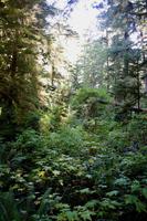 273. Pacific-Rim-Nationalpark &ndash; &copy; Marianne Förster (Eberhardt TRAVEL)