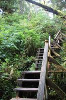 274. Pacific-Rim-Nationalpark &ndash; &copy; Marianne Förster (Eberhardt TRAVEL)
