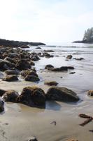289. Pacific-Rim-Nationalpark - Pazifikstrand &ndash; &copy; Marianne Förster (Eberhardt TRAVEL)