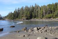 291. Pacific-Rim-Nationalpark - Pazifikstrand &ndash; &copy; Marianne Förster (Eberhardt TRAVEL)
