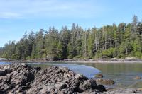 292. Pacific-Rim-Nationalpark - Pazifikstrand &ndash; &copy; Marianne Förster (Eberhardt TRAVEL)