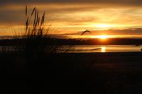 377. Sonnenuntergang am Pazifik (Tofino) &ndash; &copy; Marianne Förster (Eberhardt TRAVEL)
