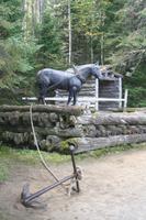 Algonquin-Loggingtrail &ndash; &copy; Chris Hähnel (Eberhardt TRAVEL)