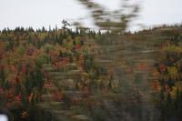 Quer durch Kanada &ndash; &copy; Chris Hähnel (Eberhardt TRAVEL)