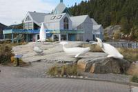 Tadoussac &ndash; &copy; Chris Hähnel (Eberhardt TRAVEL)
