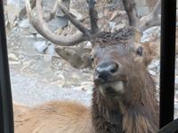 Omega Wildpark &ndash; &copy; Carina Henn (Eberhardt TRAVEL)