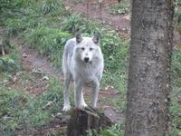Omega Wildpark &ndash; &copy; Carina Henn (Eberhardt TRAVEL)