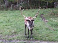Omega Wildpark &ndash; &copy; Carina Henn (Eberhardt TRAVEL)