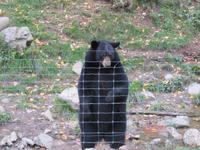 Omega Wildpark &ndash; &copy; Carina Henn (Eberhardt TRAVEL)