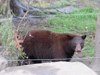 Omega Wildpark &ndash; &copy; Carina Henn (Eberhardt TRAVEL)