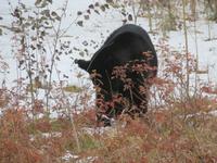 IMG_0569 &ndash; &copy; Carina Henn (Eberhardt TRAVEL)