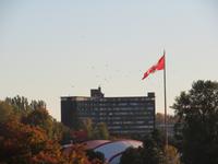 IMG_0657