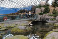 Biodome &ndash; &copy; Elisa Müller (Eberhardt TRAVEL)