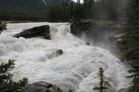 am Athabasca Wasserfall &ndash; &copy; Elisa Müller (Eberhardt TRAVEL)