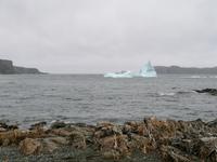 IMG_20190610_103608