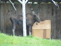 045 Omega Wildlife Parc &ndash; &copy; Jens Petzoldt (Eberhardt TRAVEL)