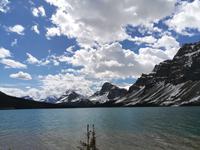 111 Bow Lake &ndash; &copy; Jens Petzoldt (Eberhardt TRAVEL)