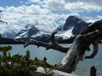 113 Bow Lake &ndash; &copy; Jens Petzoldt (Eberhardt TRAVEL)
