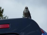 124 Maligne Lake &ndash; &copy; Jens Petzoldt (Eberhardt TRAVEL)