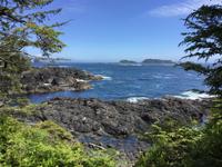 189 Vancouver Island - Rund um Tofino &ndash; &copy; Jens Petzoldt (Eberhardt TRAVEL)