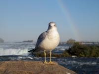 &copy; Kristin Weigel (Eberhardt TRAVEL)