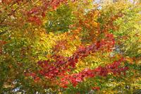 Indian Summer &ndash; &copy; Kristin Weigel (Eberhardt TRAVEL)