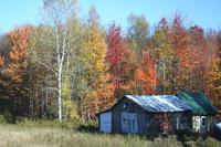 Indian Summer &ndash; &copy; Kristin Weigel (Eberhardt TRAVEL)