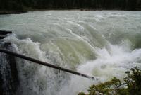 Athabasca Falls &ndash; &copy; Susanne Schirmann (Eberhardt TRAVEL)