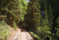 Johnston Canyon (2) &ndash; &copy; Susanne Schirmann (Eberhardt TRAVEL)