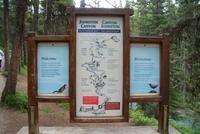 Johnston Canyon (8) &ndash; &copy; Susanne Schirmann (Eberhardt TRAVEL)