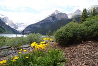 Lake Louise (3) &ndash; &copy; Susanne Schirmann (Eberhardt TRAVEL)