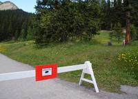 Bärenalarm &ndash; &copy; Susanne Schirmann (Eberhardt TRAVEL)