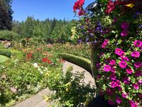 im Rosengarten &ndash; &copy; Elisabeth Fox-Maerki (Eberhardt TRAVEL)