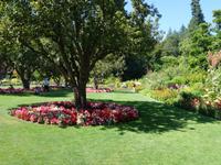 6. Tag Ausflug nach Vancouver Island (13) &ndash; &copy; Benjamin Rodriguez Manzanares (Eberhardt TRAVEL)