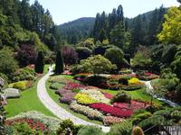 6. Tag Ausflug nach Vancouver Island (14) &ndash; &copy; Benjamin Rodriguez Manzanares (Eberhardt TRAVEL)