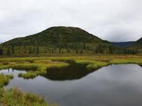 16. Tag Denali-Nationalpark (4) &ndash; &copy; Benjamin Rodriguez Manzanares (Eberhardt TRAVEL)