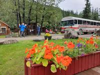 16. Tag Denali-Nationalpark (13) &ndash; &copy; Benjamin Rodriguez Manzanares (Eberhardt TRAVEL)