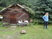 16. Tag Denali-Nationalpark (36) &ndash; &copy; Benjamin Rodriguez Manzanares (Eberhardt TRAVEL)