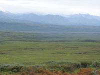 16. Tag Denali-Nationalpark (43) &ndash; &copy; Benjamin Rodriguez Manzanares (Eberhardt TRAVEL)