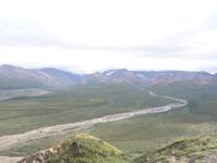 16. Tag Denali-Nationalpark (49) &ndash; &copy; Benjamin Rodriguez Manzanares (Eberhardt TRAVEL)