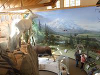 16. Tag Denali-Nationalpark (52) &ndash; &copy; Benjamin Rodriguez Manzanares (Eberhardt TRAVEL)