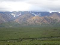 16. Tag Denali-Nationalpark (83) &ndash; &copy; Benjamin Rodriguez Manzanares (Eberhardt TRAVEL)