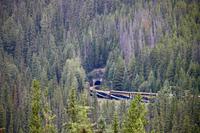 Rocky Mountaineer - Spiral Tunnels &ndash; &copy; Marianne Förster (Eberhardt TRAVEL)
