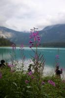 Emerald Lake &ndash; &copy; Marianne Förster (Eberhardt TRAVEL)