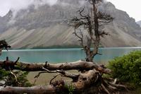 Bow Lake &ndash; &copy; Marianne Förster (Eberhardt TRAVEL)