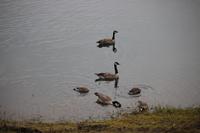 Medicine Lake &ndash; &copy; Marianne Förster (Eberhardt TRAVEL)