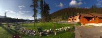 Becker's Chalet