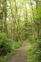 Pacific Rim Nationalpark &ndash; &copy; Marianne Förster (Eberhardt TRAVEL)